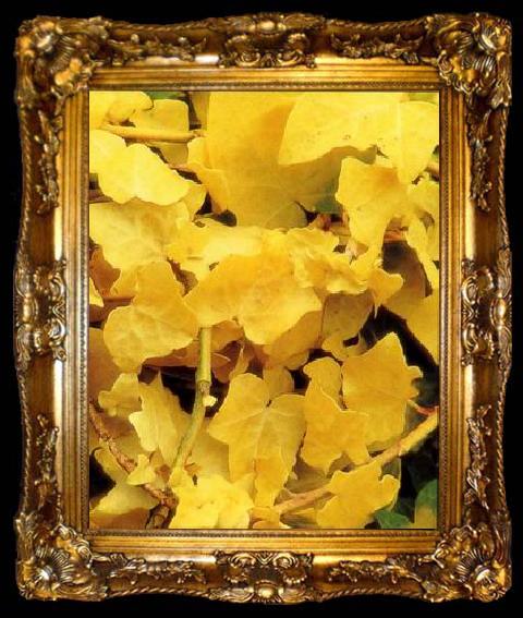 framed  unknow artist Still life floral, all kinds of reality flowers oil painting  92, ta009-2